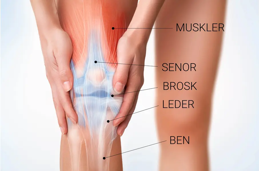 7 goda skäl till att ta Collagen Vital™